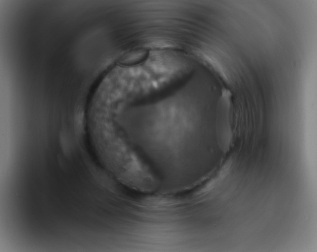 X0000094350351200711162034