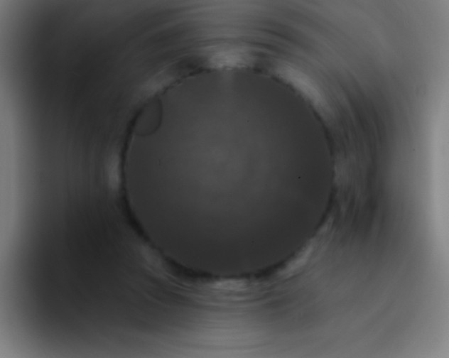 X0000094350353200711162034