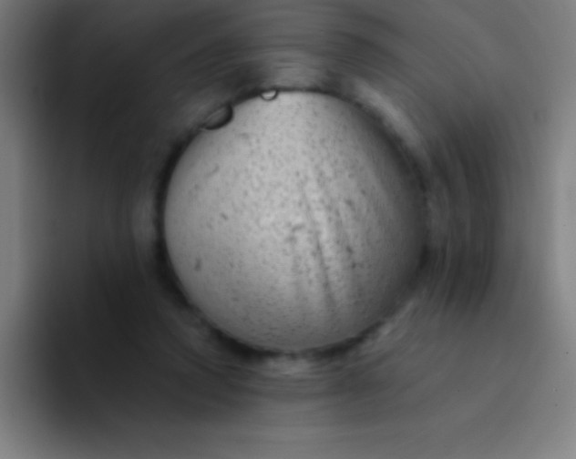 X0000094350354200711162034