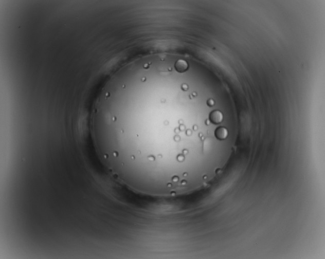 X0000094350356200711162034