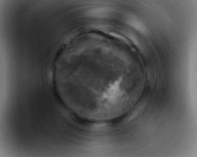 X0000094350357200711162034