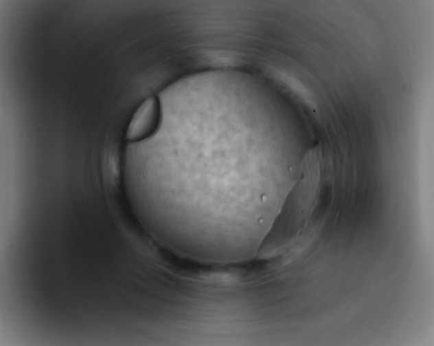 X0000094350358200711162034