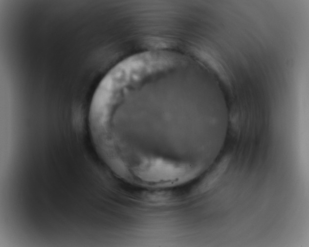 X0000094350359200711162034