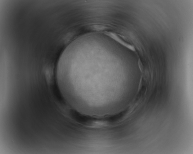 X0000094350360200711162034