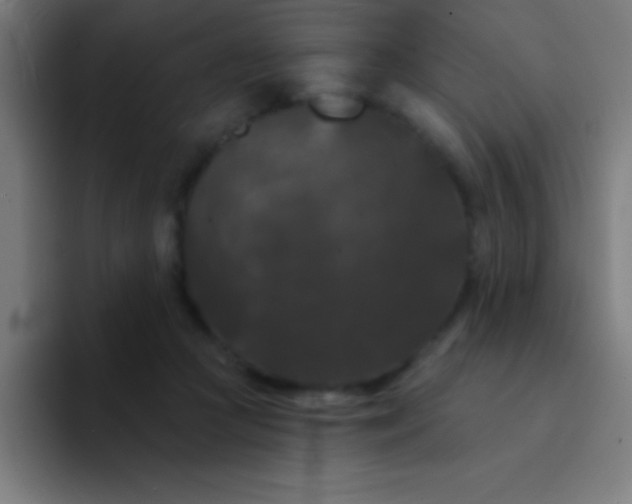 X0000094350361200711162034