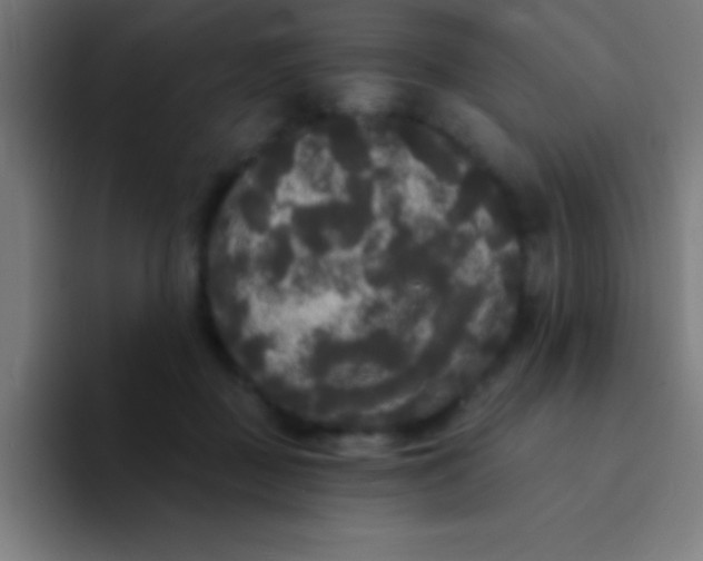 X0000094350363200711162034