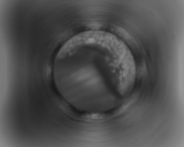 X0000094350365200711162034