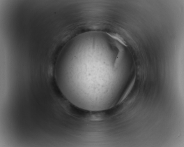 X0000094350368200711162034