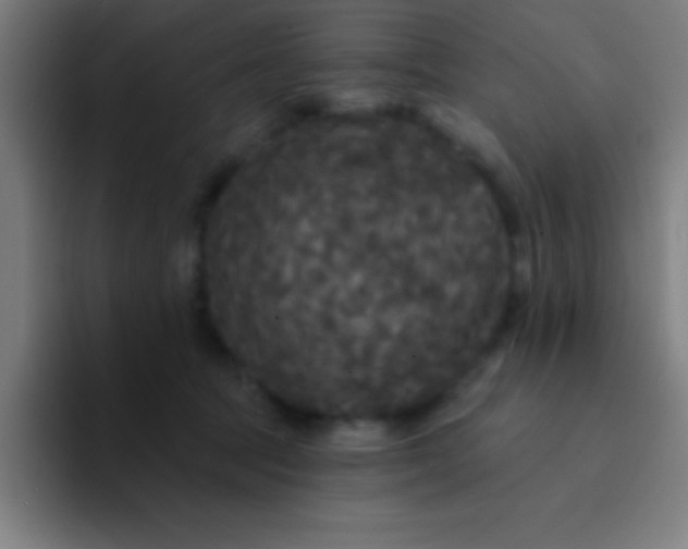 X0000094350369200711162034