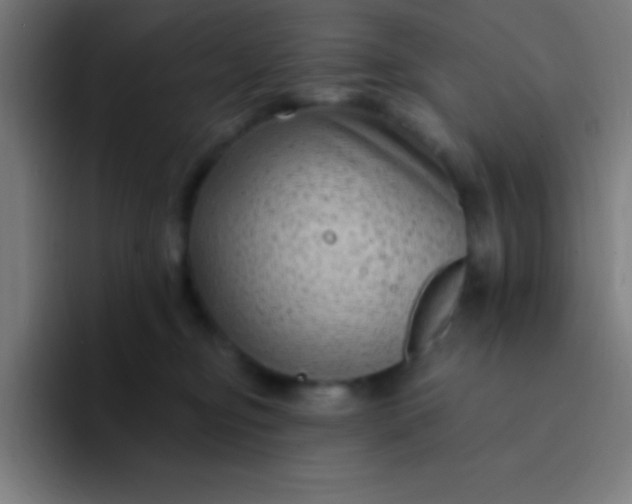 X0000094350374200711162035