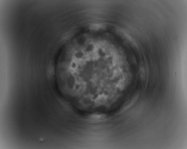 X0000094350375200711162035