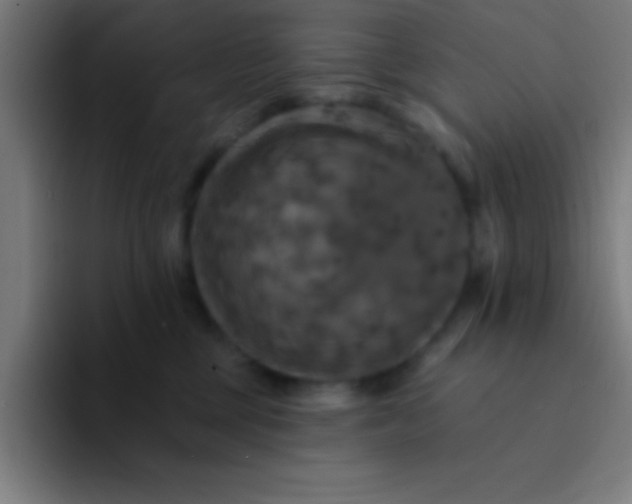 X0000094350377200711162035