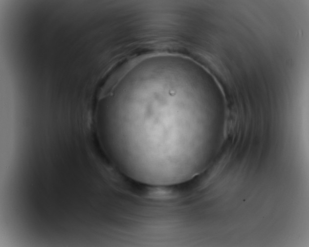 X0000094350380200711162035