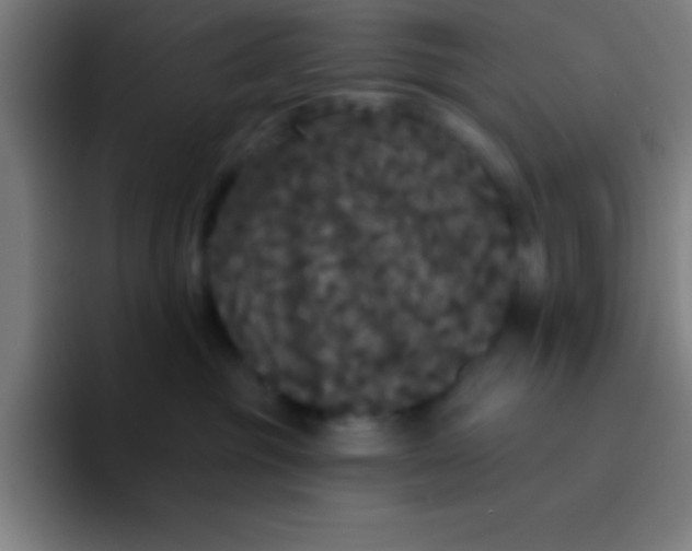 X0000094350381200711162035