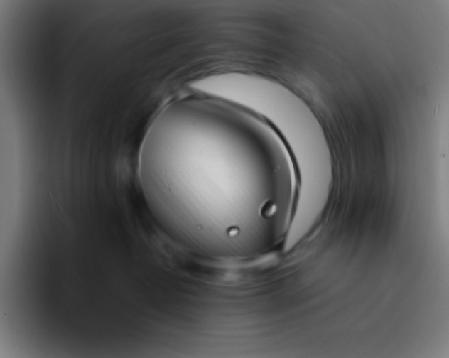 X0000094350382200711162035