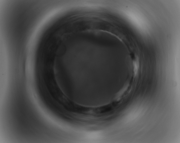 X0000094350383200711162035