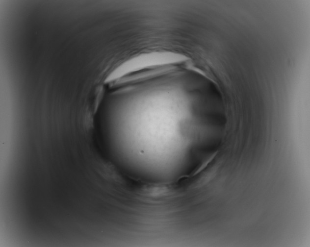 X0000094350384200711162035