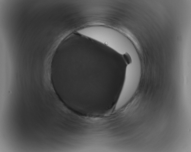 X0000094350385200711162034