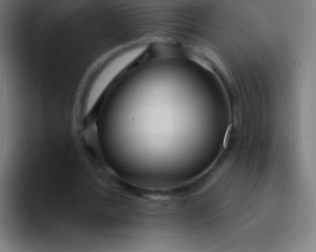 X0000094350388200711162034