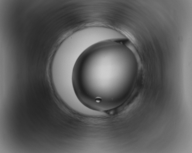 X0000094350389200711162034