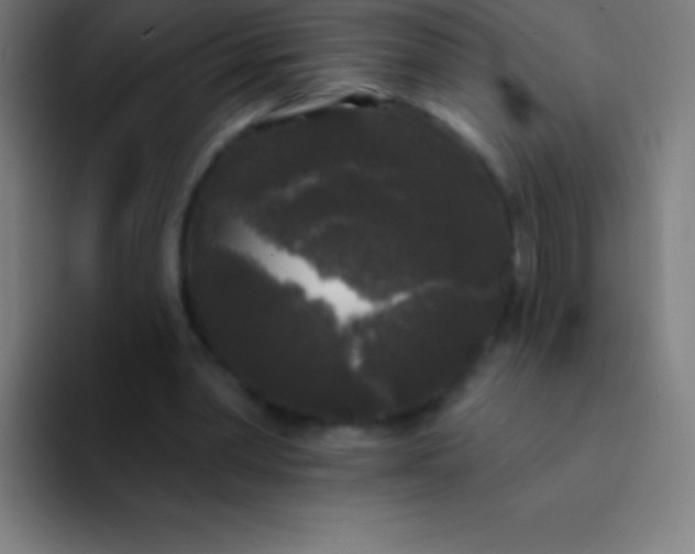 X0000094350390200711162034