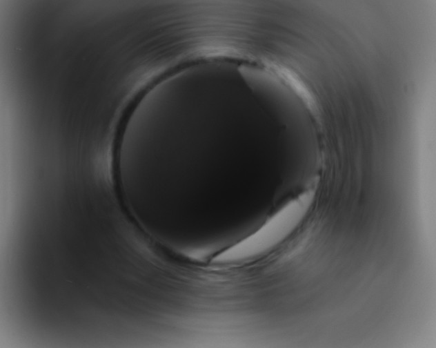 X0000094350391200711162034