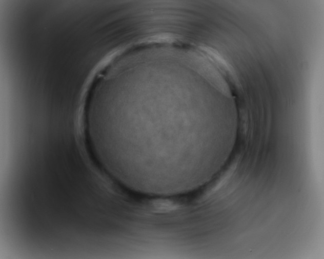 X0000094350392200711162034