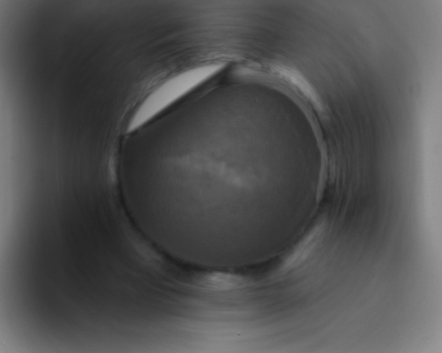 X0000094350393200711162034