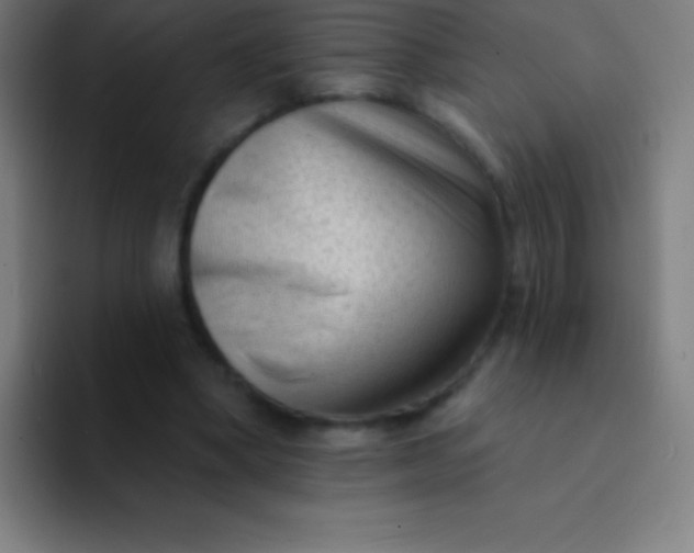 X0000094350394200711162034