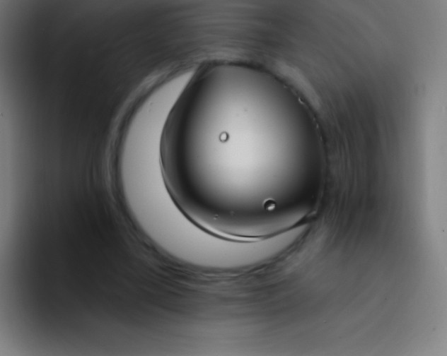 X0000094350395200711162034