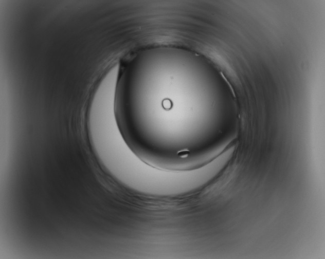 X0000094350397200711162034