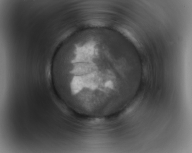 X0000094350398200711162034