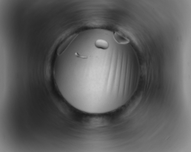 X0000094350400200711162034