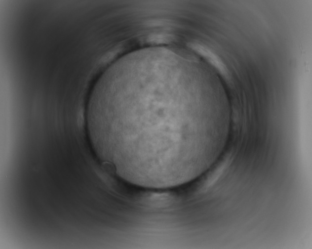 X0000094350401200711162034