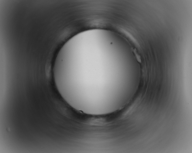 X0000094350403200711162034