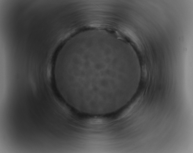 X0000094350404200711162034