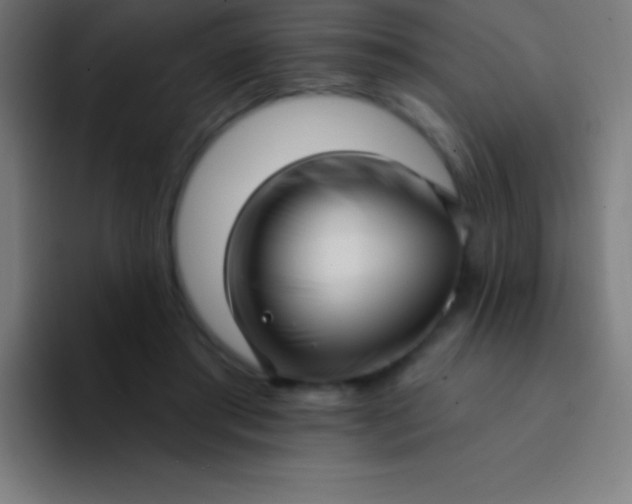 X0000094350405200711162034