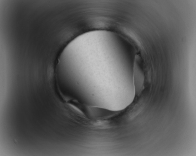 X0000094350407200711162034