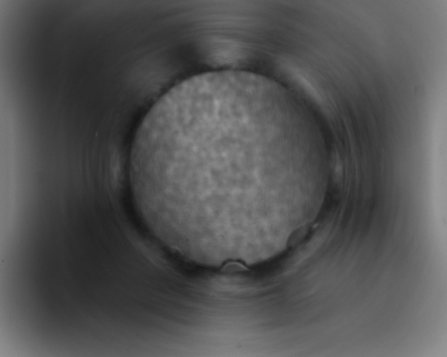 X0000094350408200711162034