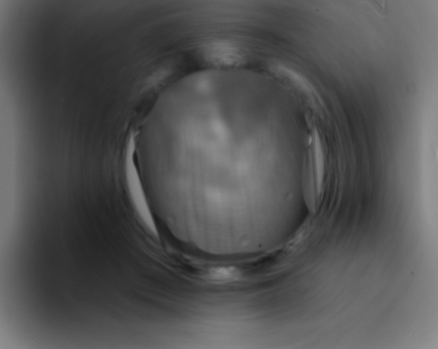 X0000094350409200711162034