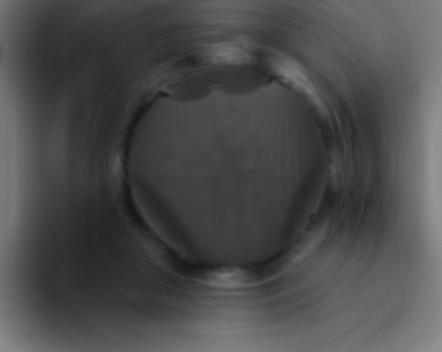 X0000094350410200711162034