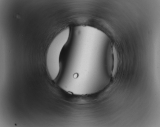 X0000094350412200711162034