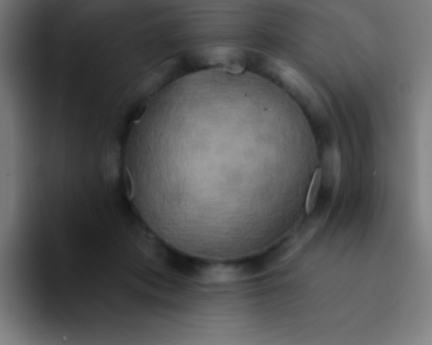 X0000094350413200711162034