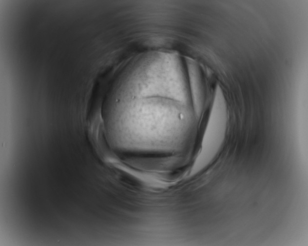 X0000094350416200711162034