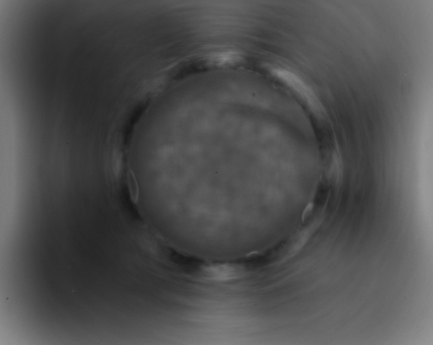 X0000094350417200711162034