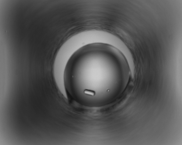 X0000094350421200711162034