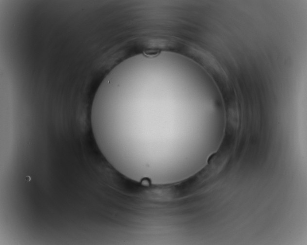 X0000094350422200711162034