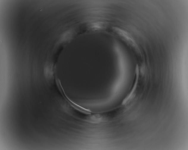 X0000094350423200711162034