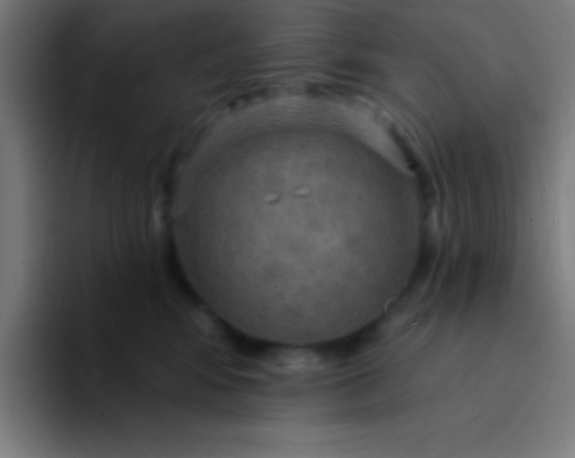 X0000094350424200711162034