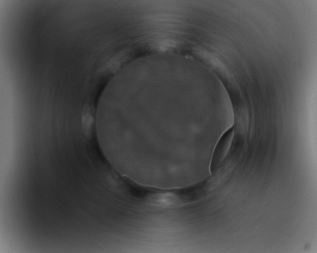 X0000094350427200711162034